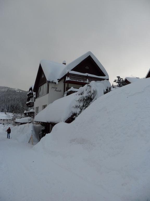 Pension Andante ชปินด์เลอรูฟ มลิน ภายนอก รูปภาพ
